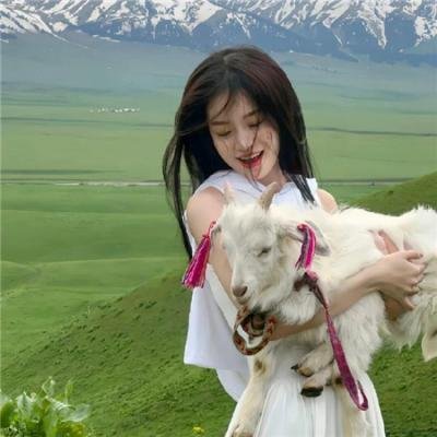 航海王:狂热行动 在线观看